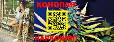 тгк Камышлов