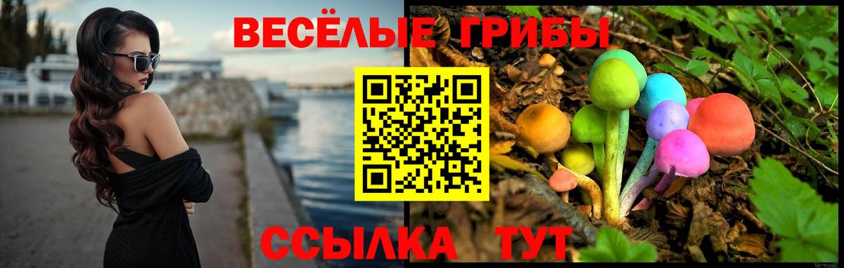 Миасс  Псилоцибиновые грибы Psilocybe  цена наркотик  Вход с VPN 
